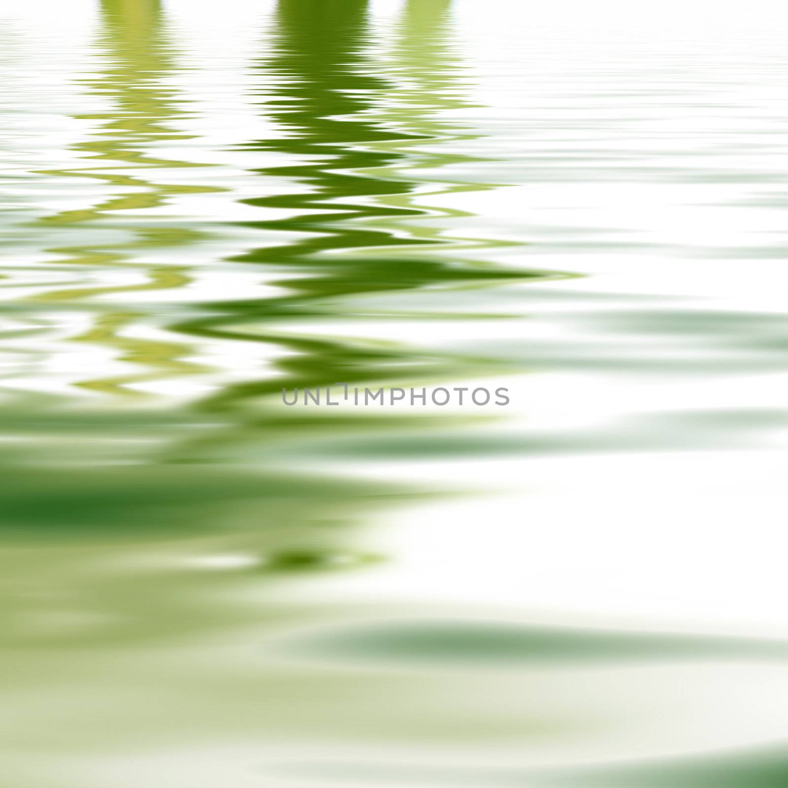 Reflection of greenery in water by Farina6000