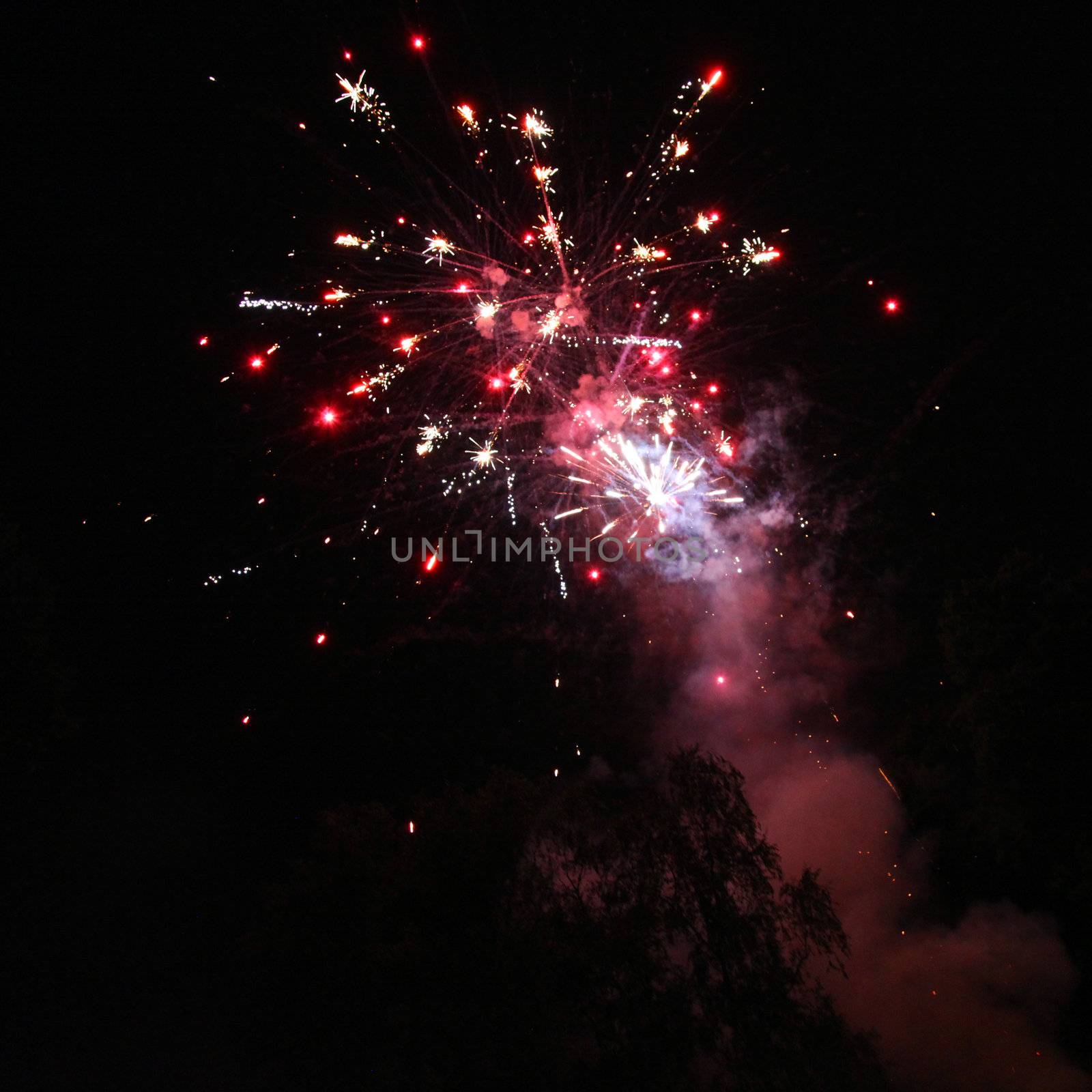 Colourful red fireworks display with bursting rockets showering sparks through the night sky during celebrations of a festival or holiday