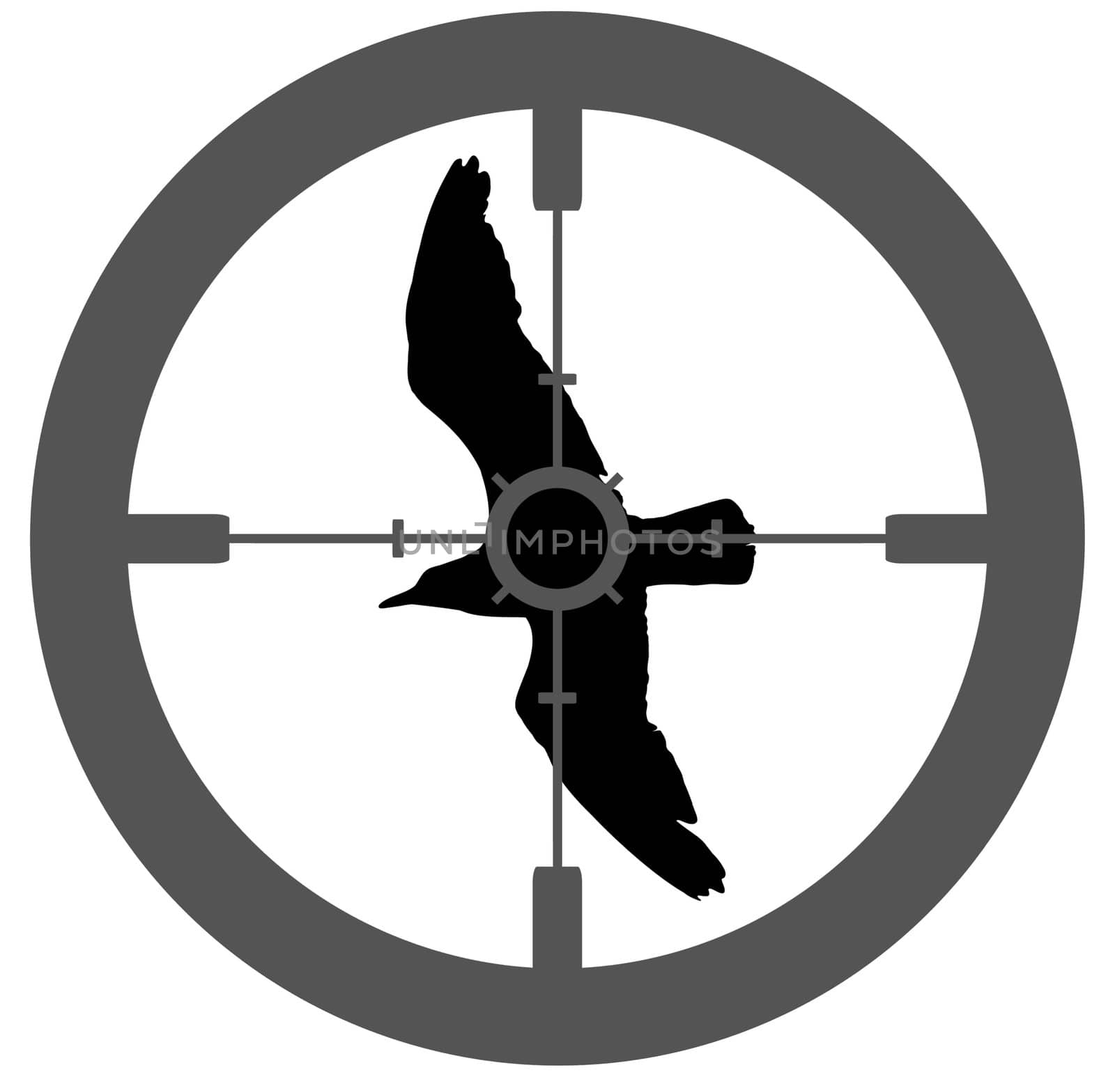 Illustration of a silhouette bird with a gun  sight aiming at its body
