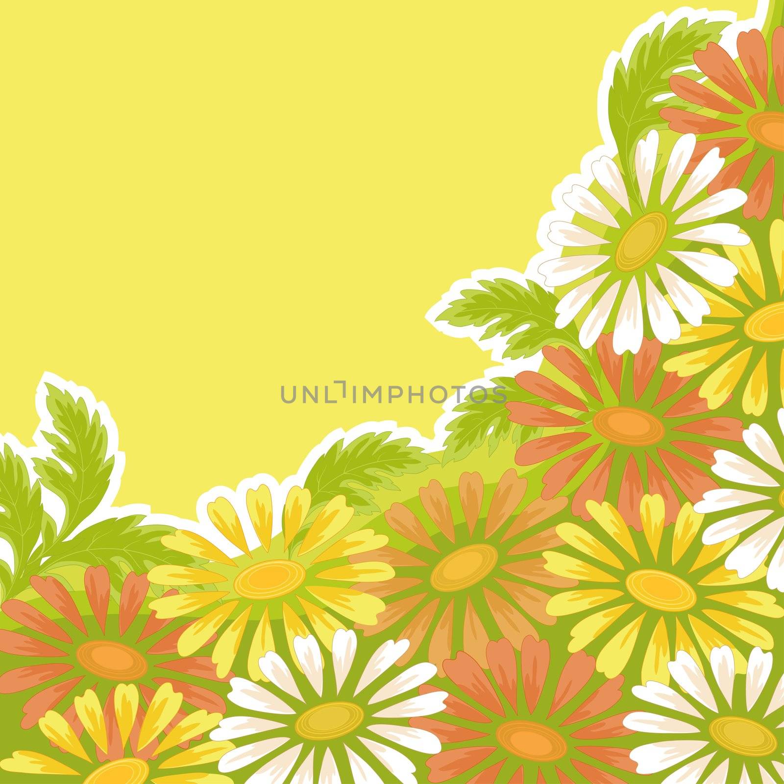 Floral holiday background, pattern with chamomile flowers.