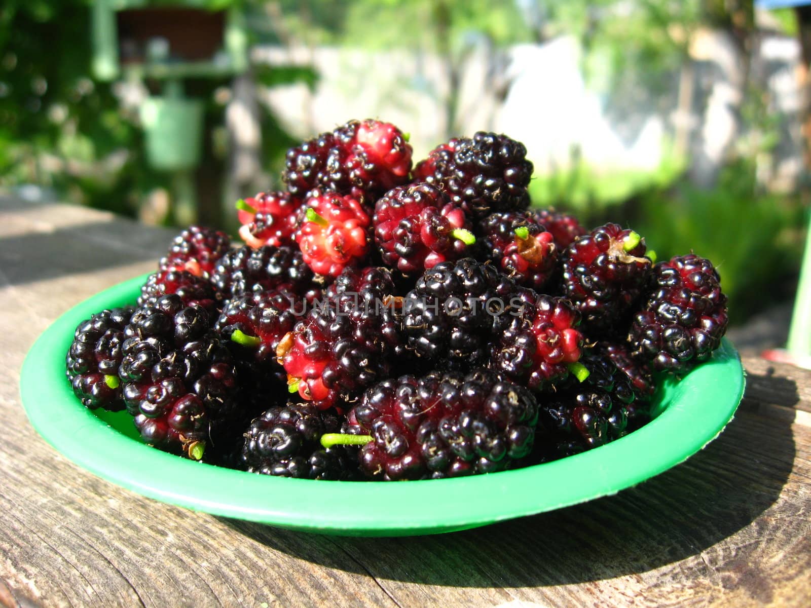 image of ripe dark berries of a mulberry on a plate