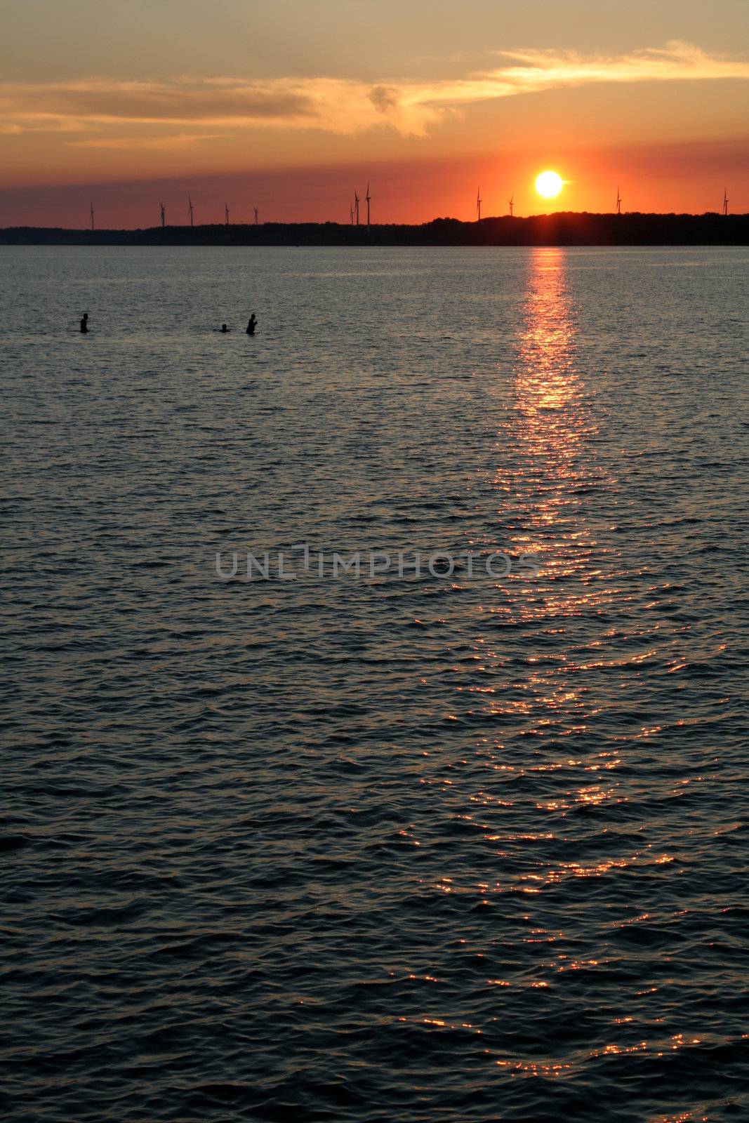Three people swimming at dusk, with the setting sun and wind turbines in the background.
