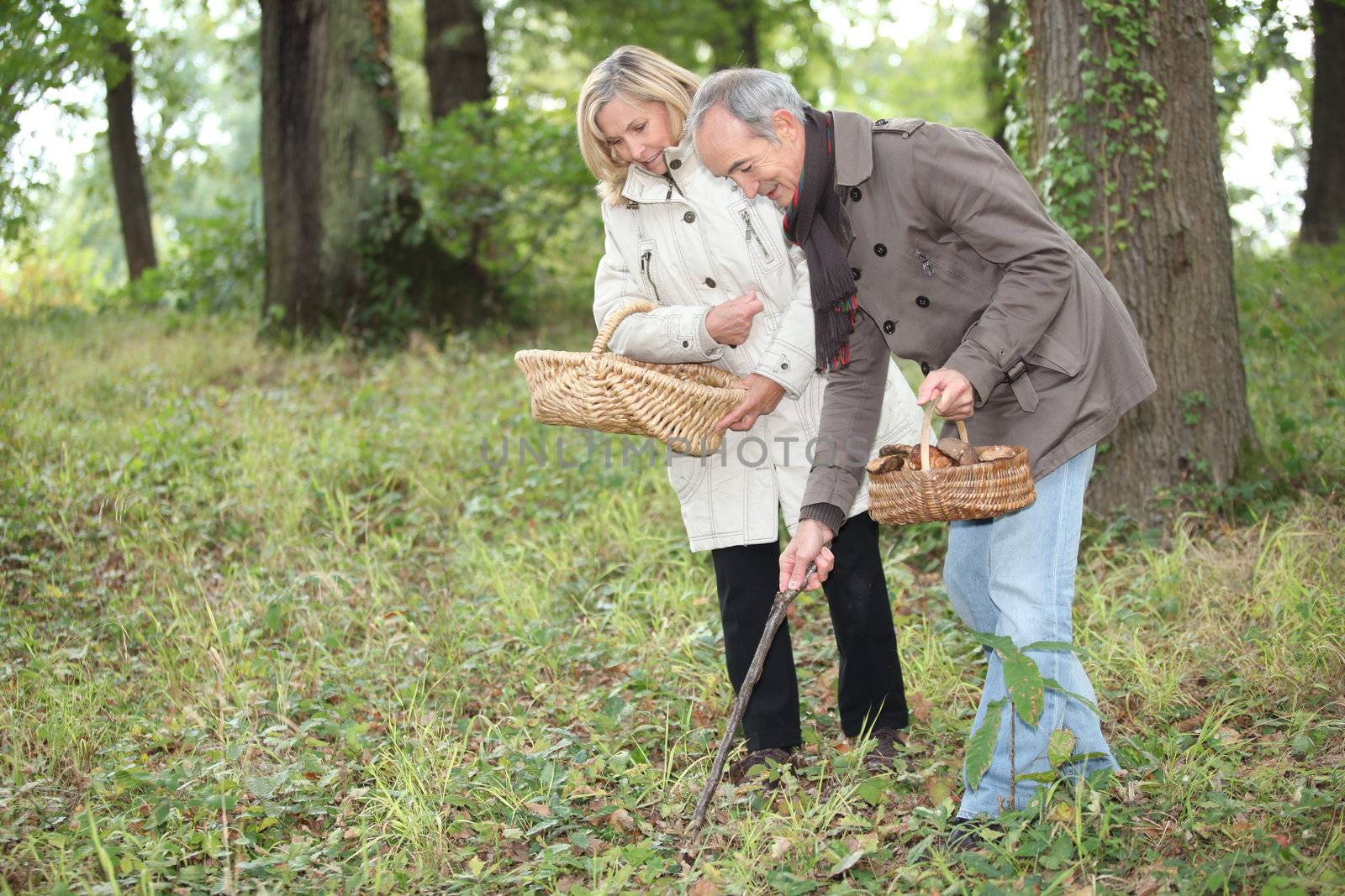 Couple picking mushrooms by phovoir