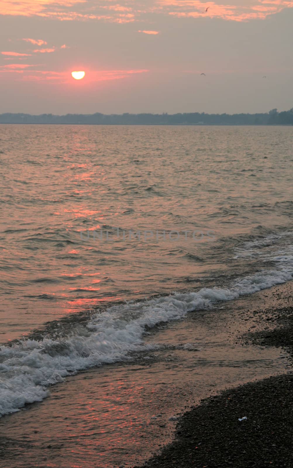 A beautiful dusk shot at Rock Point Provincial Park in Ontario, Canada.
