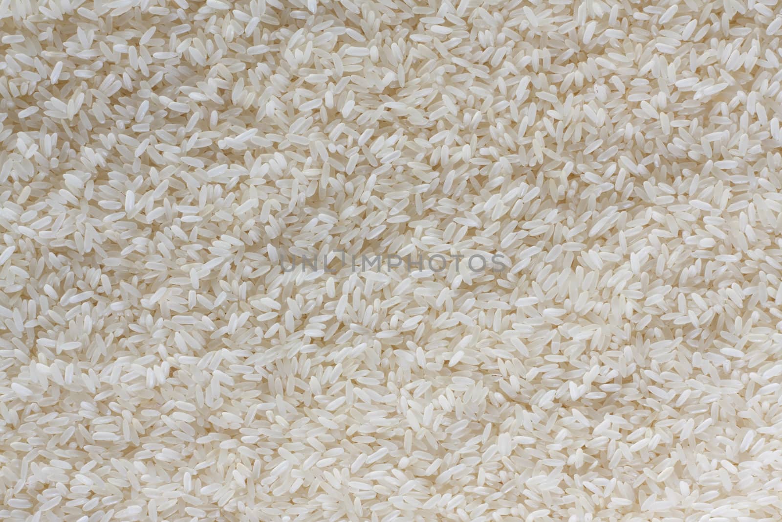 texture of rice closeup