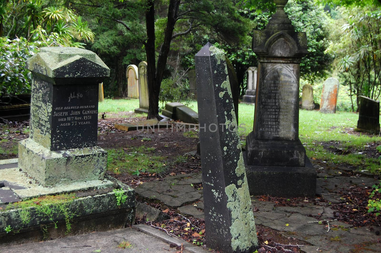 Old cemetery monuments, Auckland, New Zealand