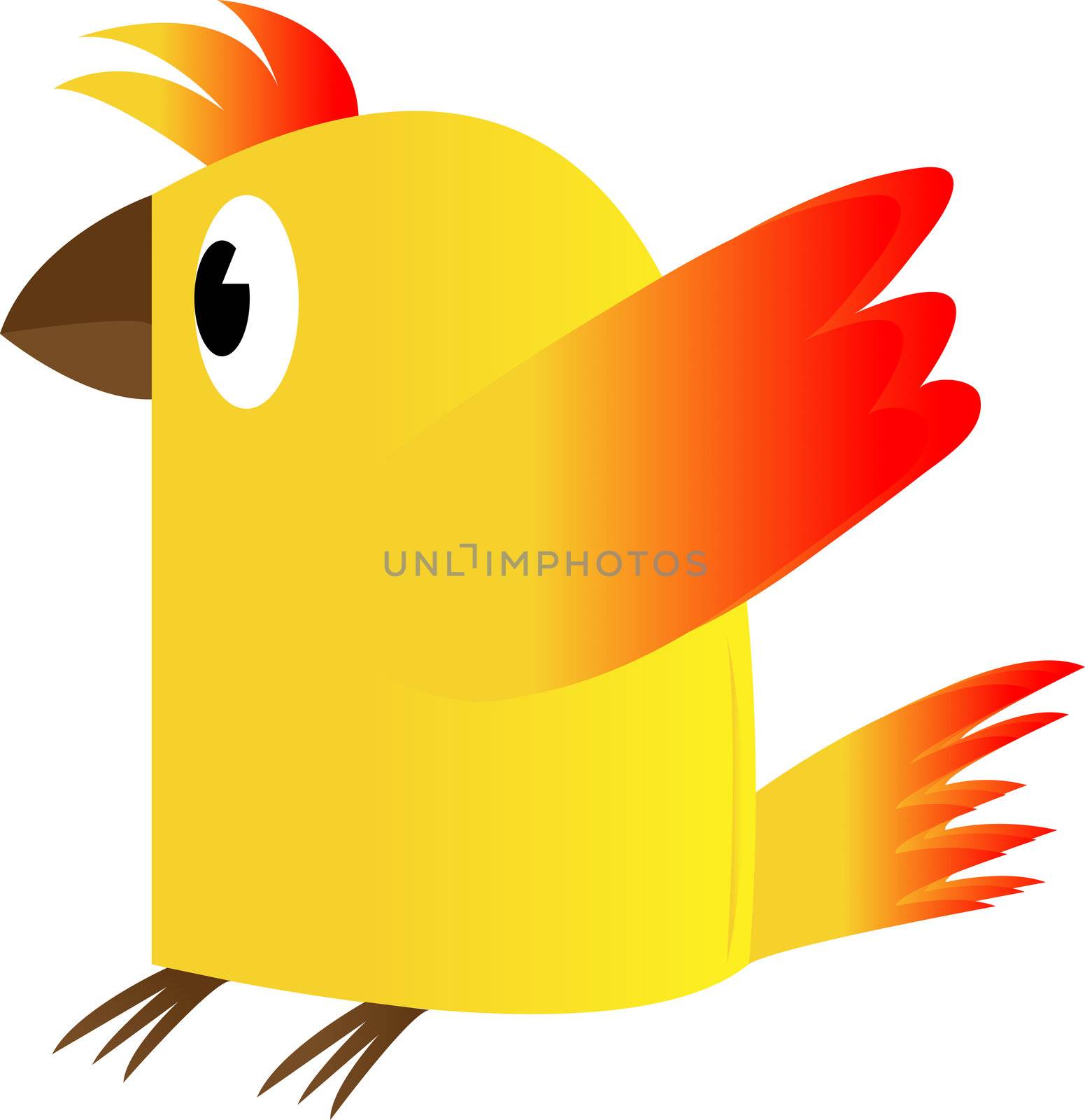 Chicken on a white background.
Vector drawing.
