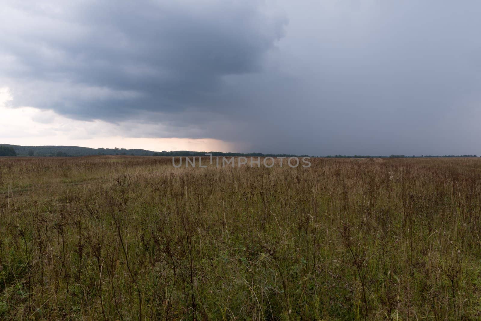 Dramatic storm clouds over a rhye field