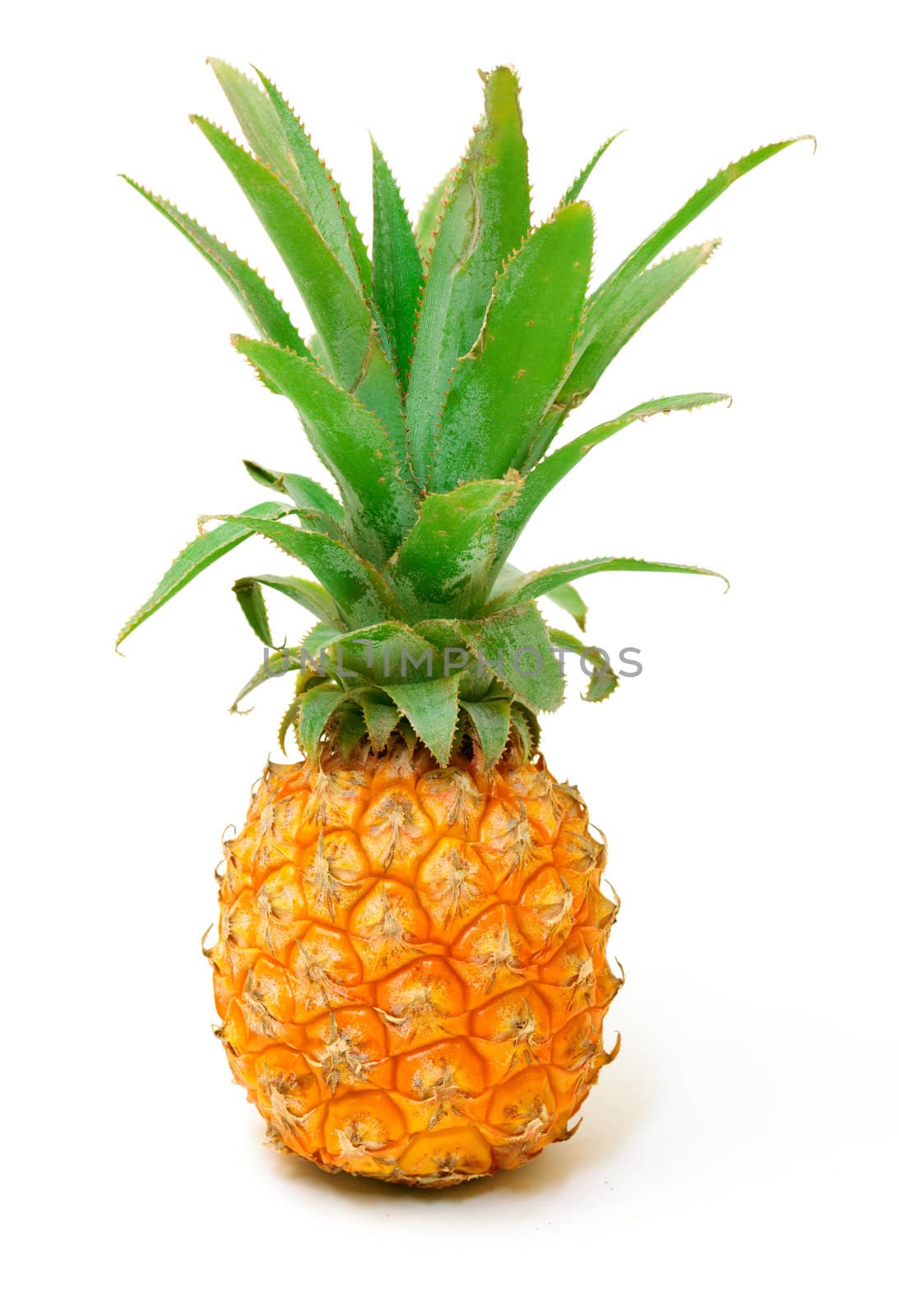 Ripe Pineapple Fruit,  isolated on white background
