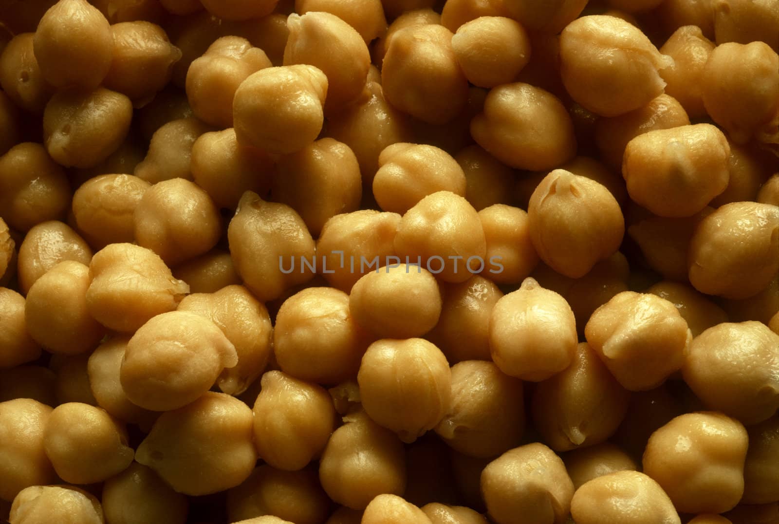 Yellow Legumes known as Garbanzo Beans or Chick Peas