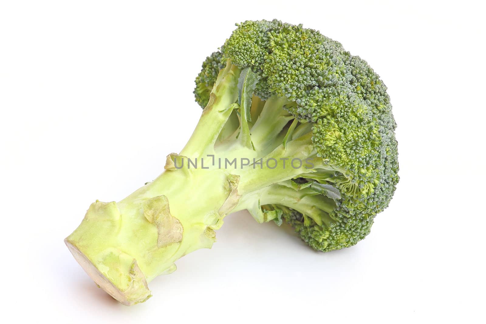 Whole broccoli head isolated on white background