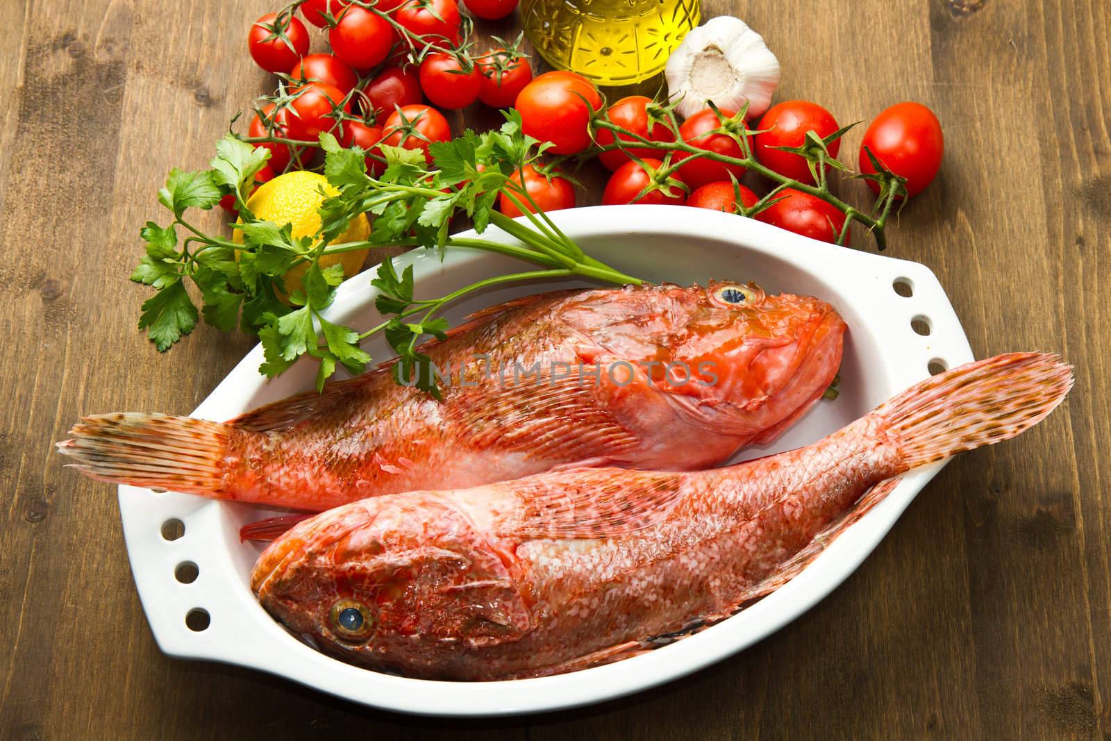 Redfish with tomatoes, parsley, garlic and olve oil