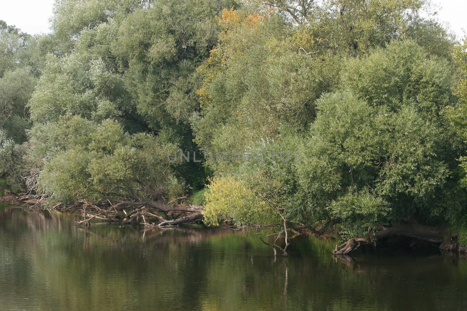 River in late summer in Germany