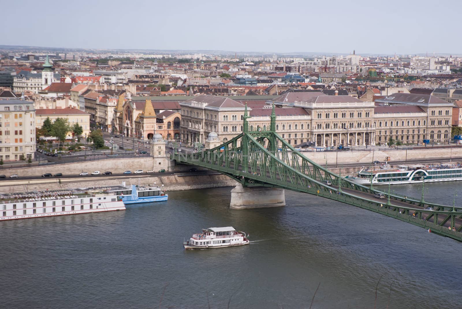 Liberty Bridge in Budapest by domenicosalice