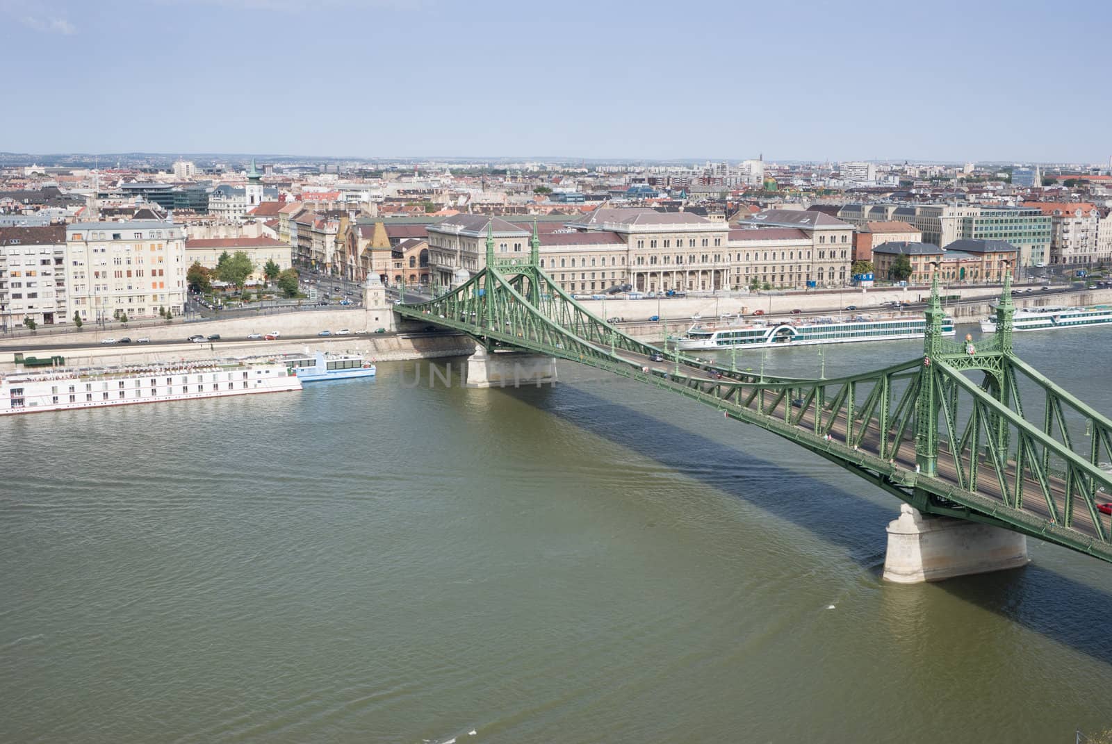 Danube river with Liberty Bridge and boats by domenicosalice