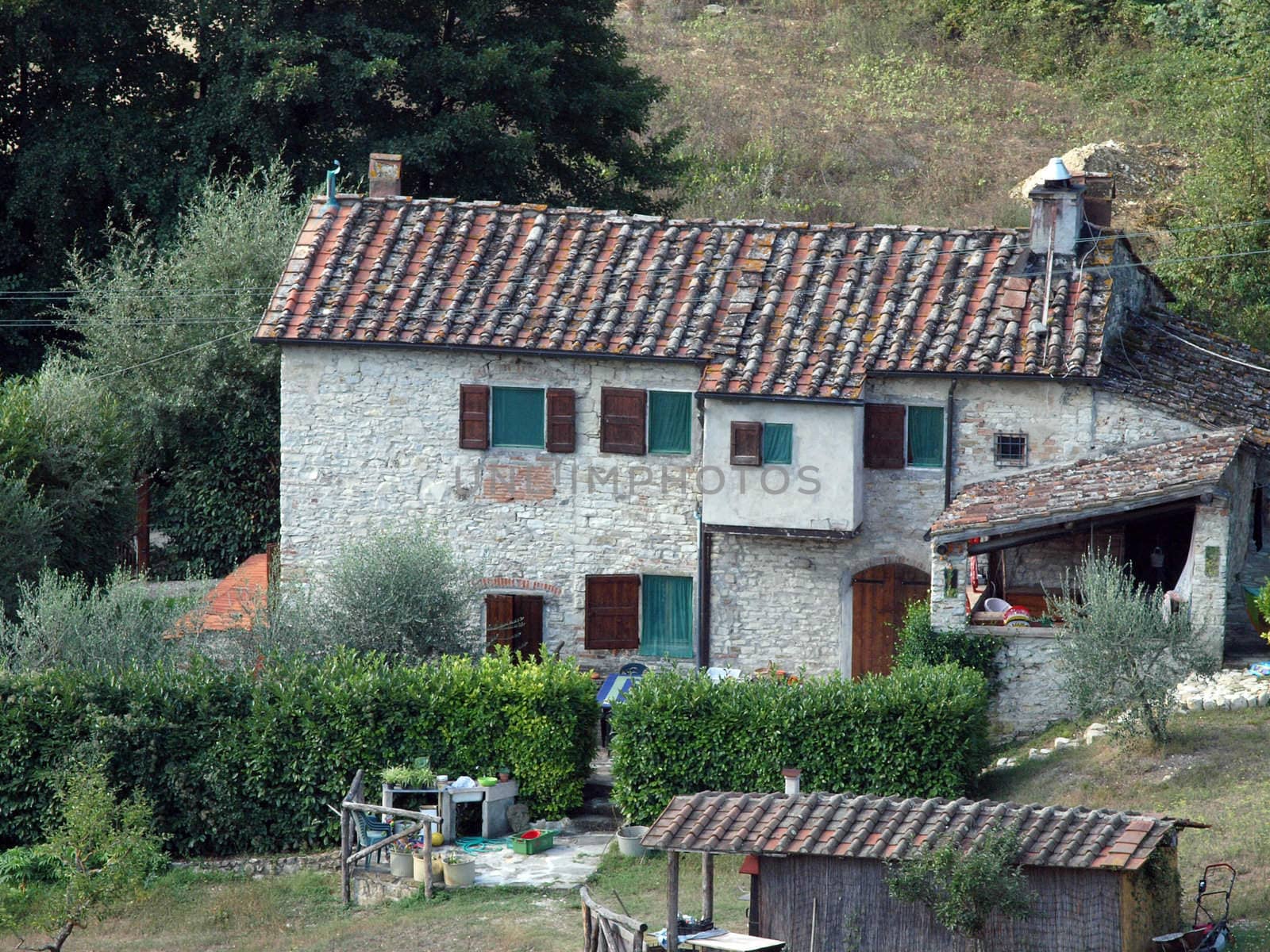 Villa in Tuscany amongst vineyards and an olive groves