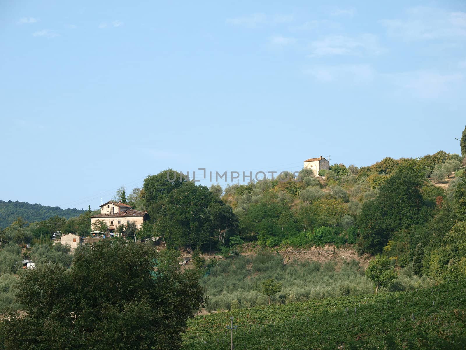 Villa in Tuscany amongst vineyards and an olive groves