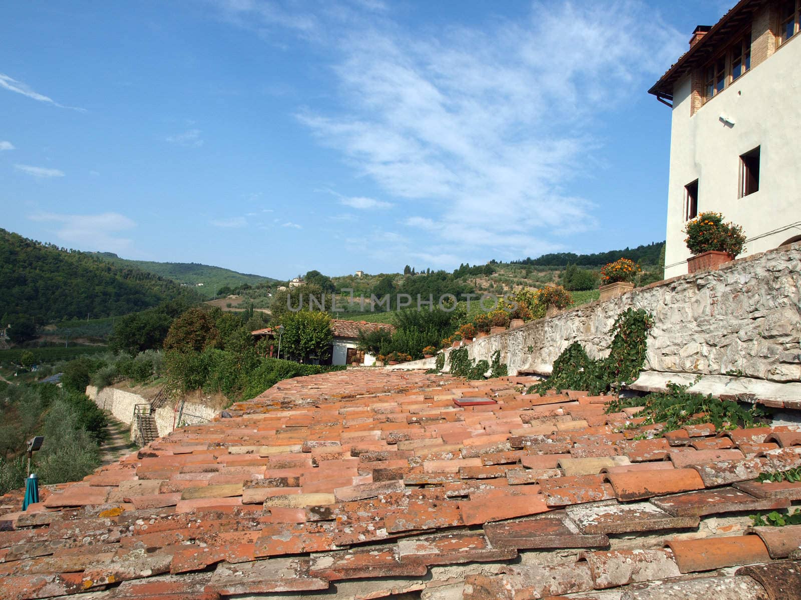 Old roof of the Tuscan villa amongst vineyards and an olive groves