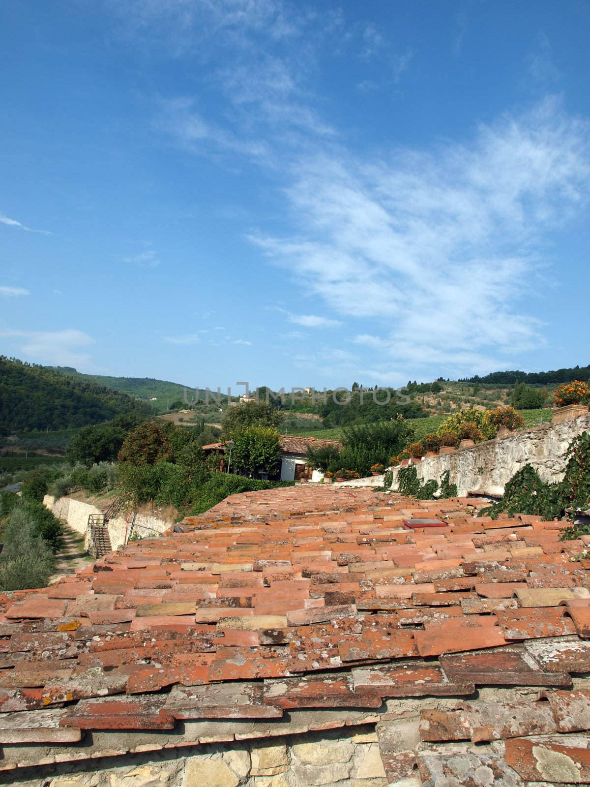 Old roof of the Tuscan villa amongst vineyards and an olive groves