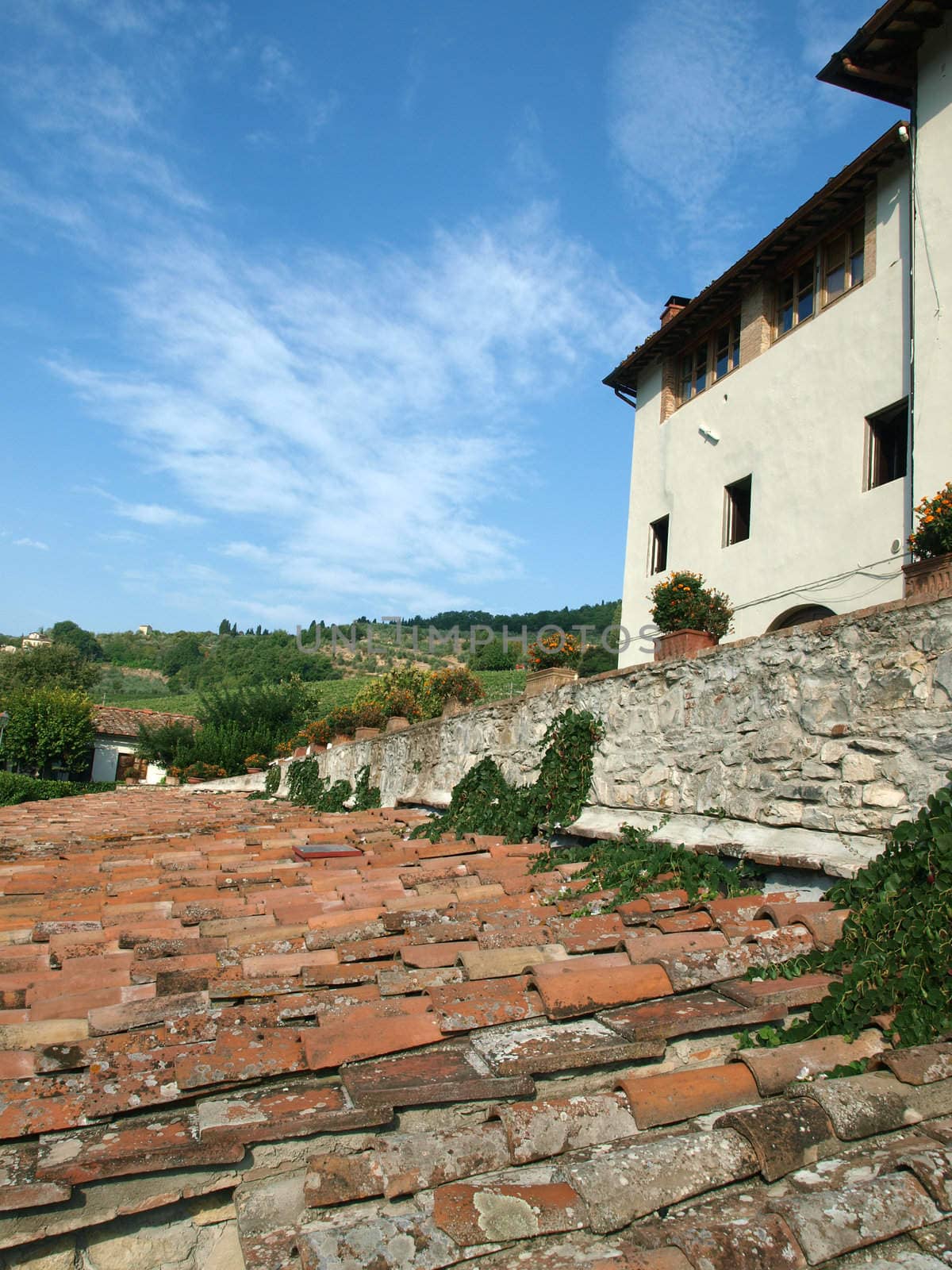 Old roof of the Tuscan villa amongst vineyards and an olive groves