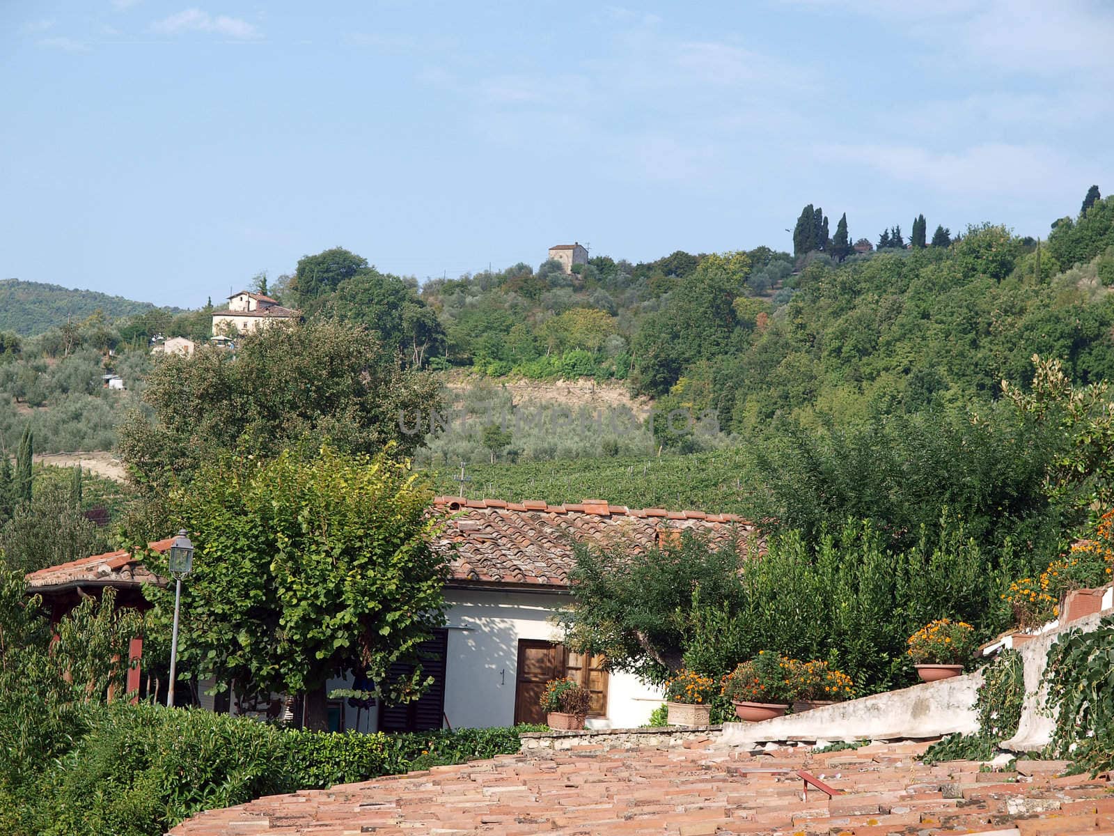 Villa in Tuscany amongst vineyards and an olive groves