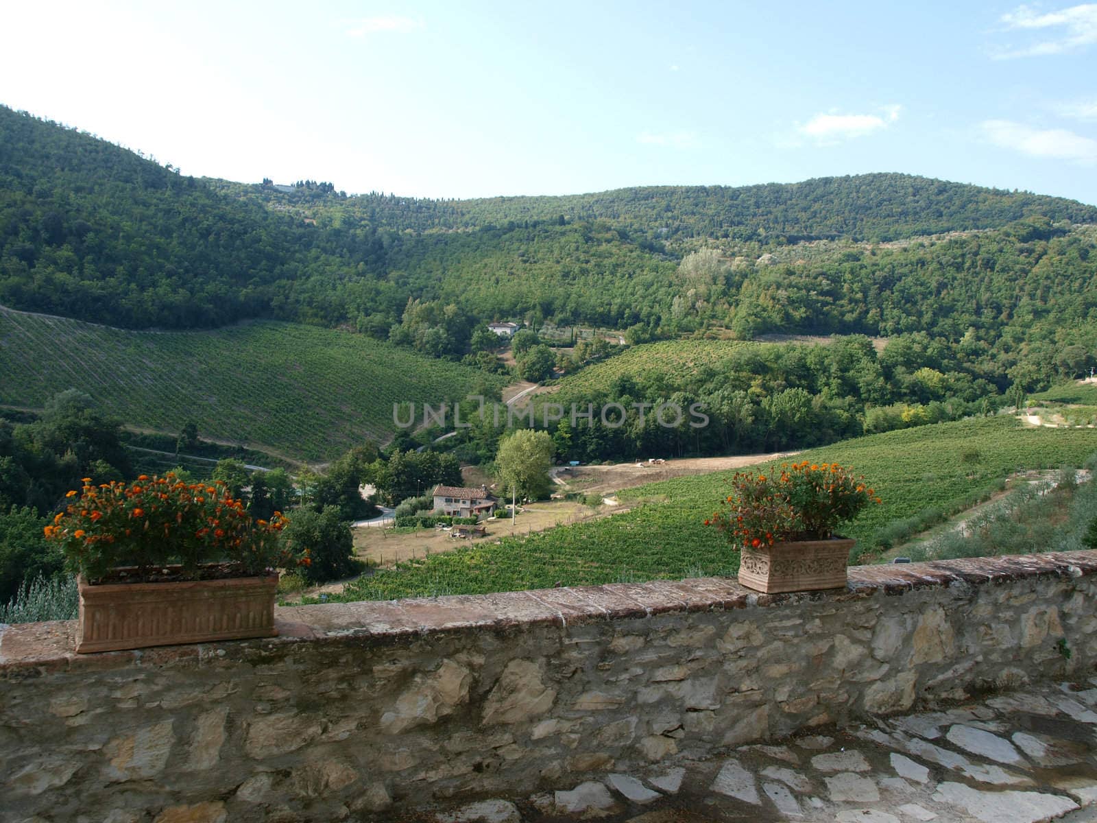 terrace with the view on vineyards in Tuscany
