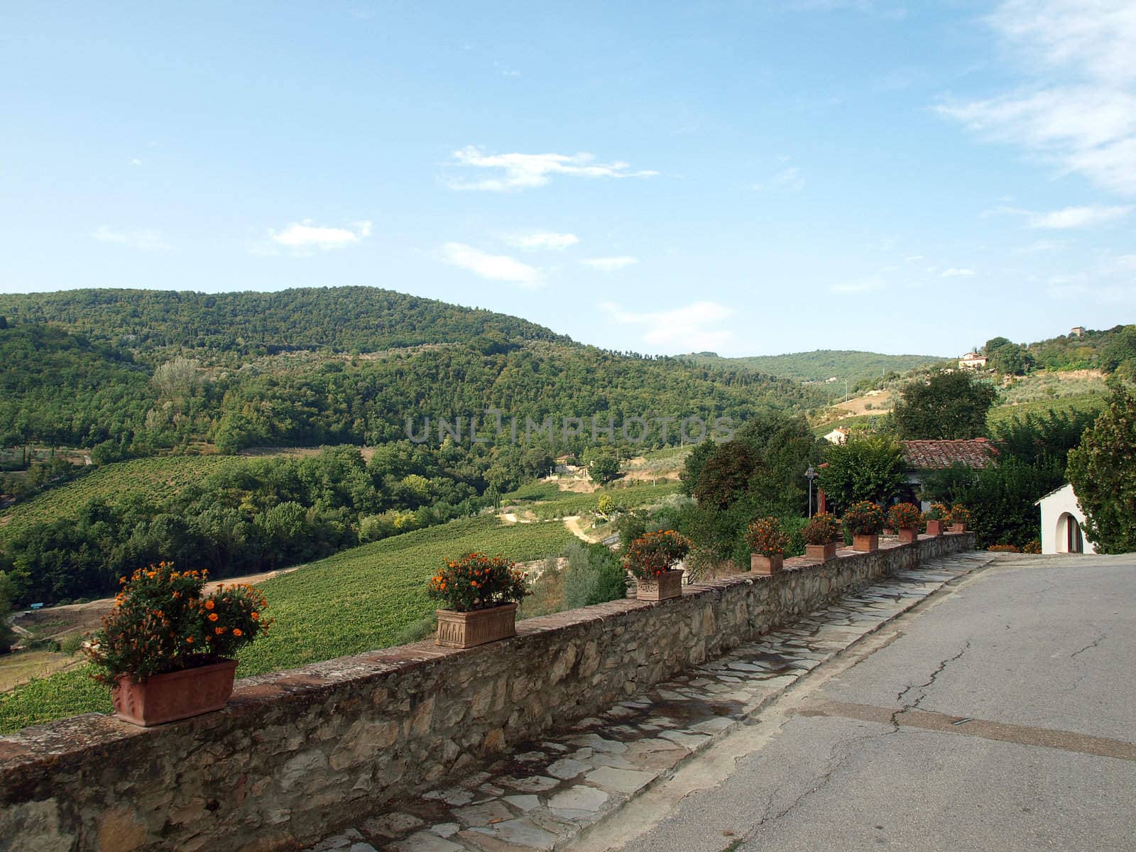 terrace with the view on vineyards in Tuscany