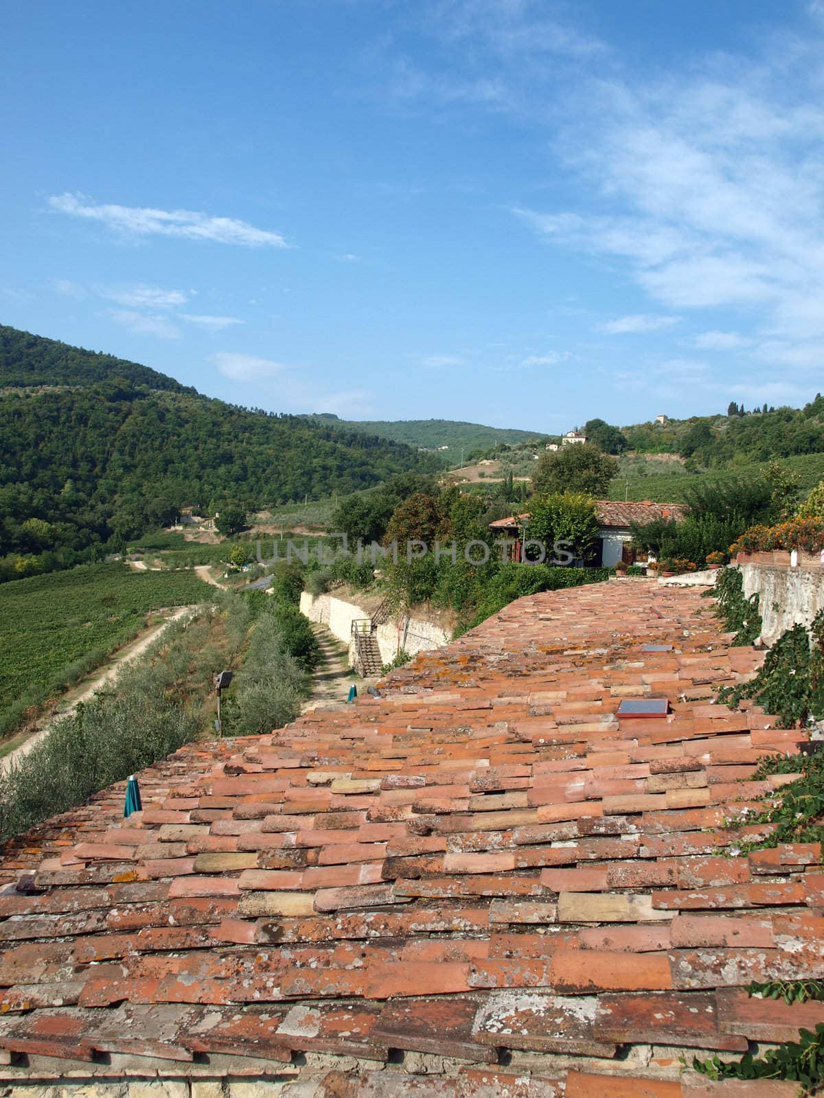 Old roof of the Tuscan villa amongst vineyards and an olive groves