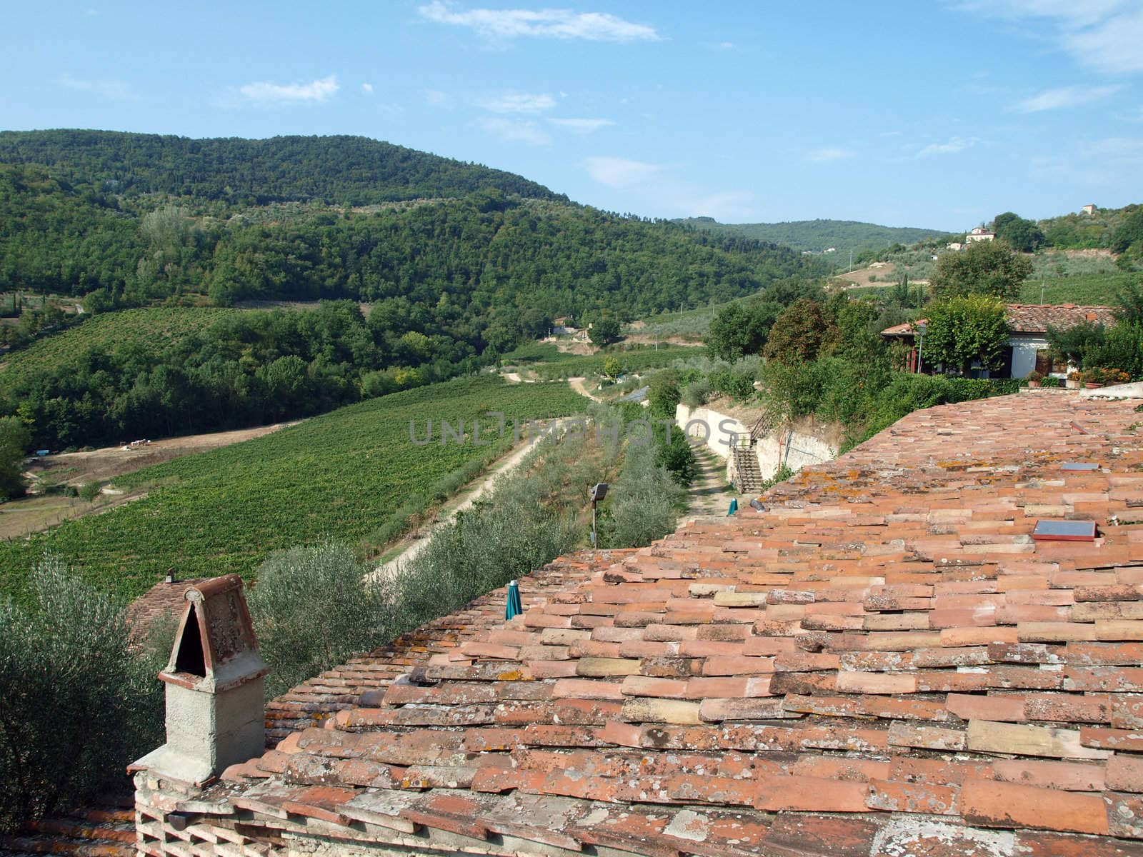 Old roof of the Tuscan villa amongst vineyards and an olive groves