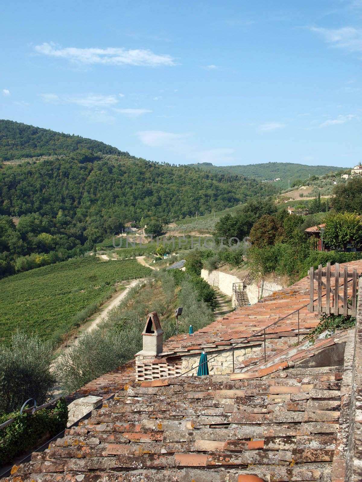 Old roof of the Tuscan villa amongst vineyards and an olive groves