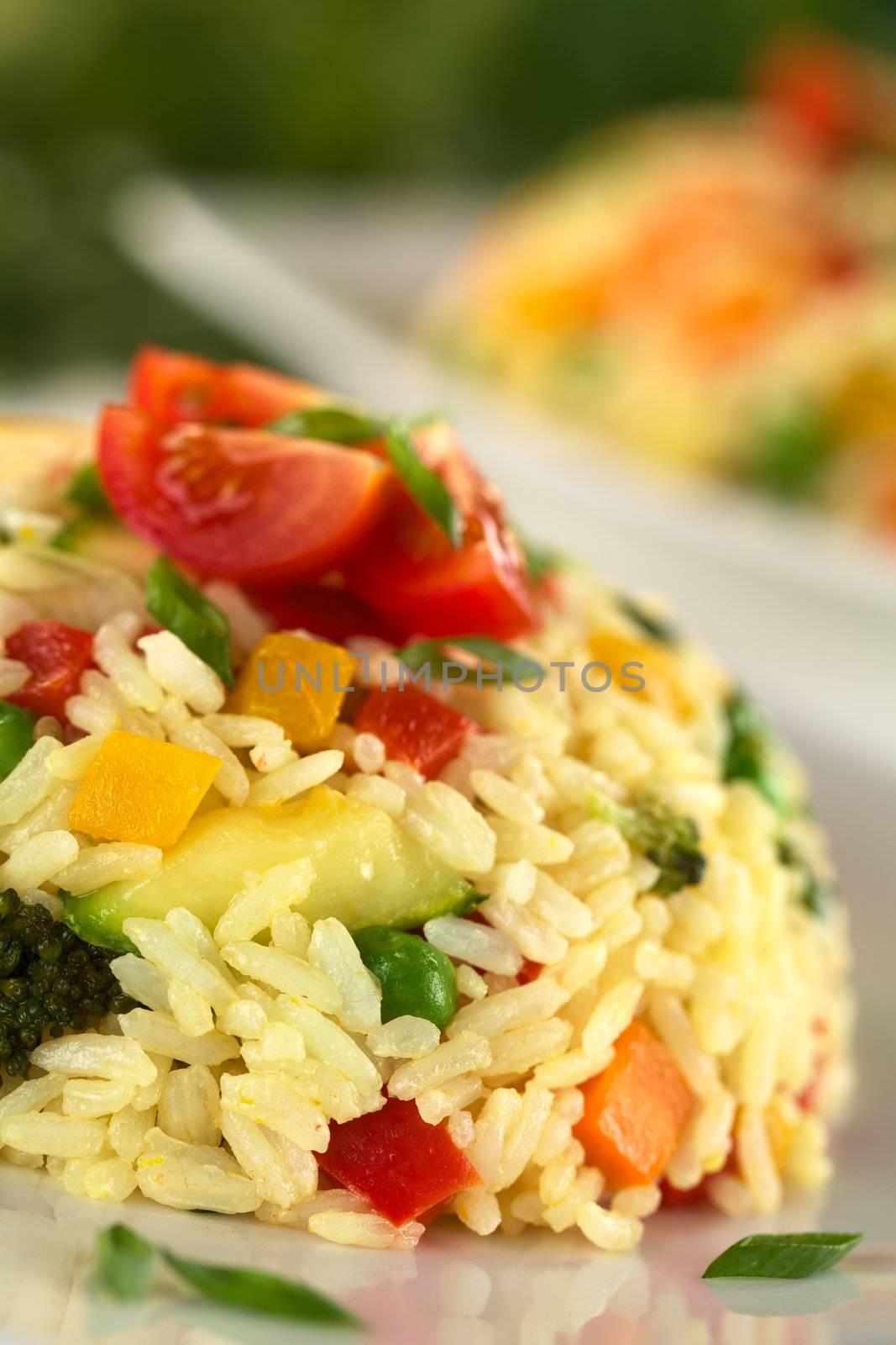 Vegetable Risotto by ildi