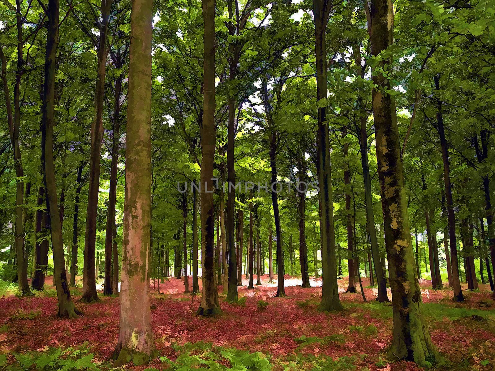 Beautiful Forest landscape digital art by Ronyzmbow