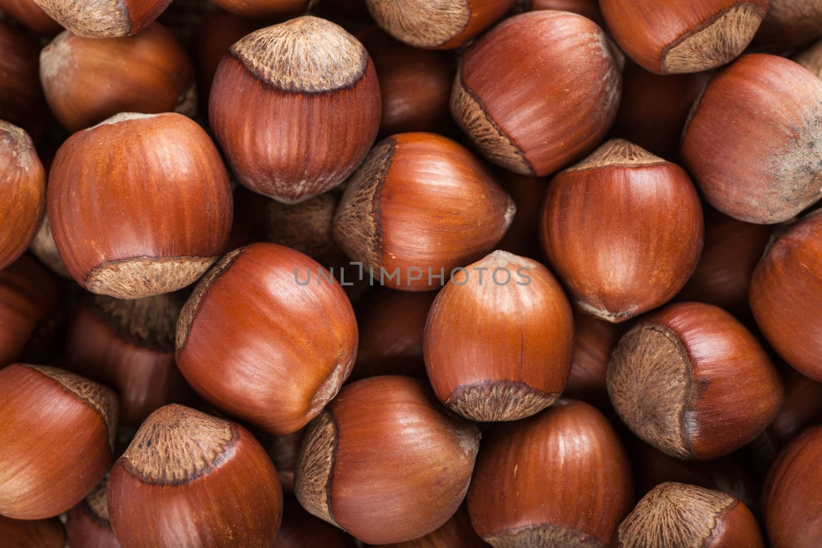 Closeup view of heap of hazelnuts