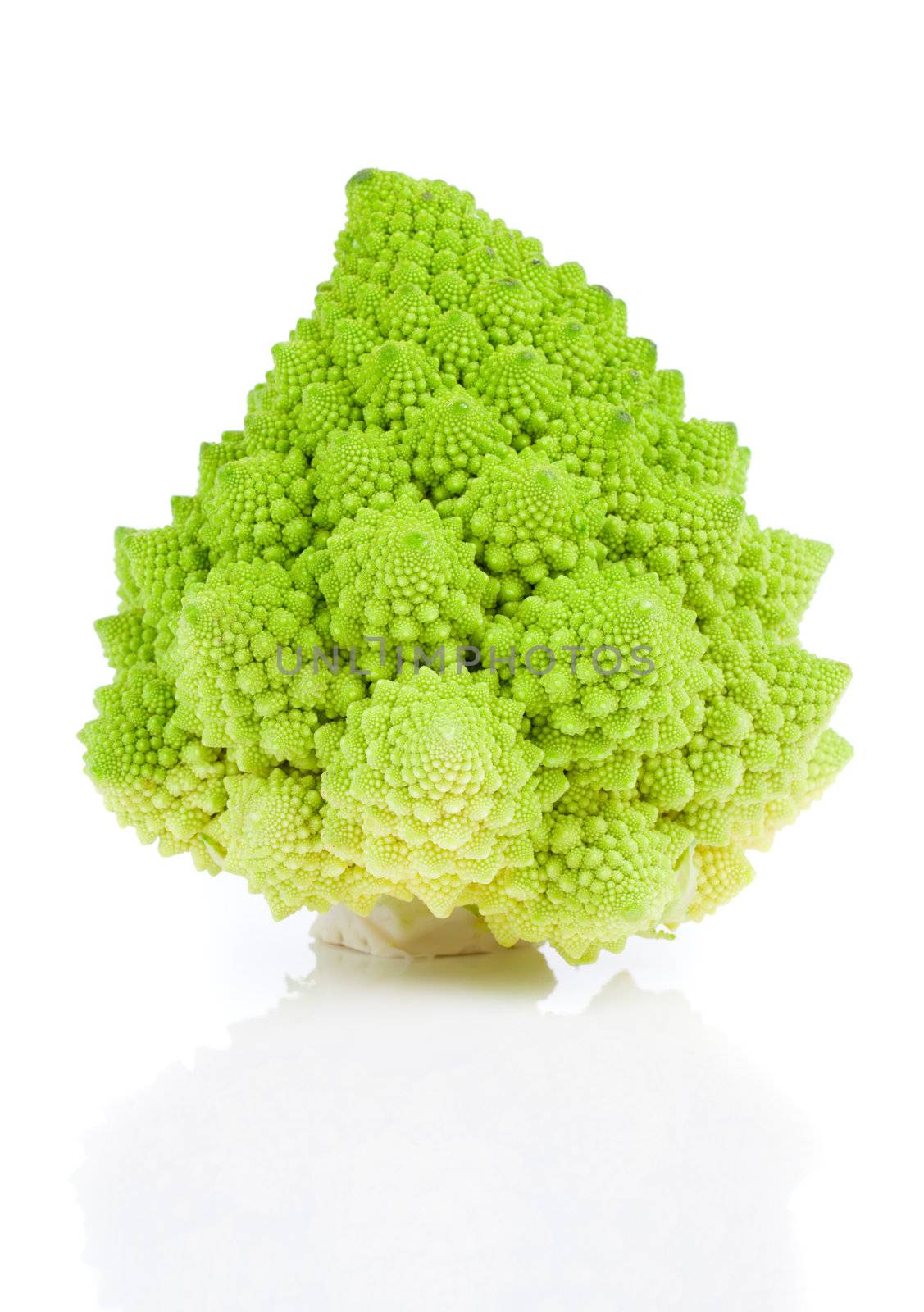 Rare broccoli. Romanesco broccoli cabbage, isolated on white background