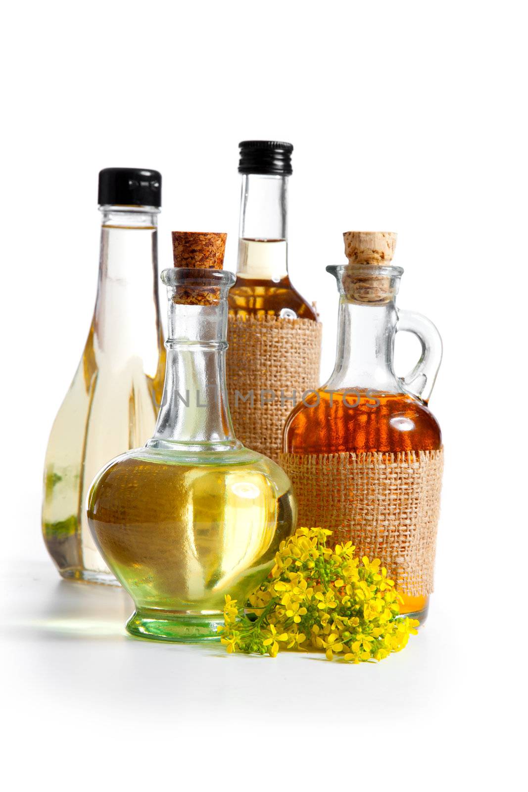 bottles of herbal and olive oil with rape flowers, isolated on a white background