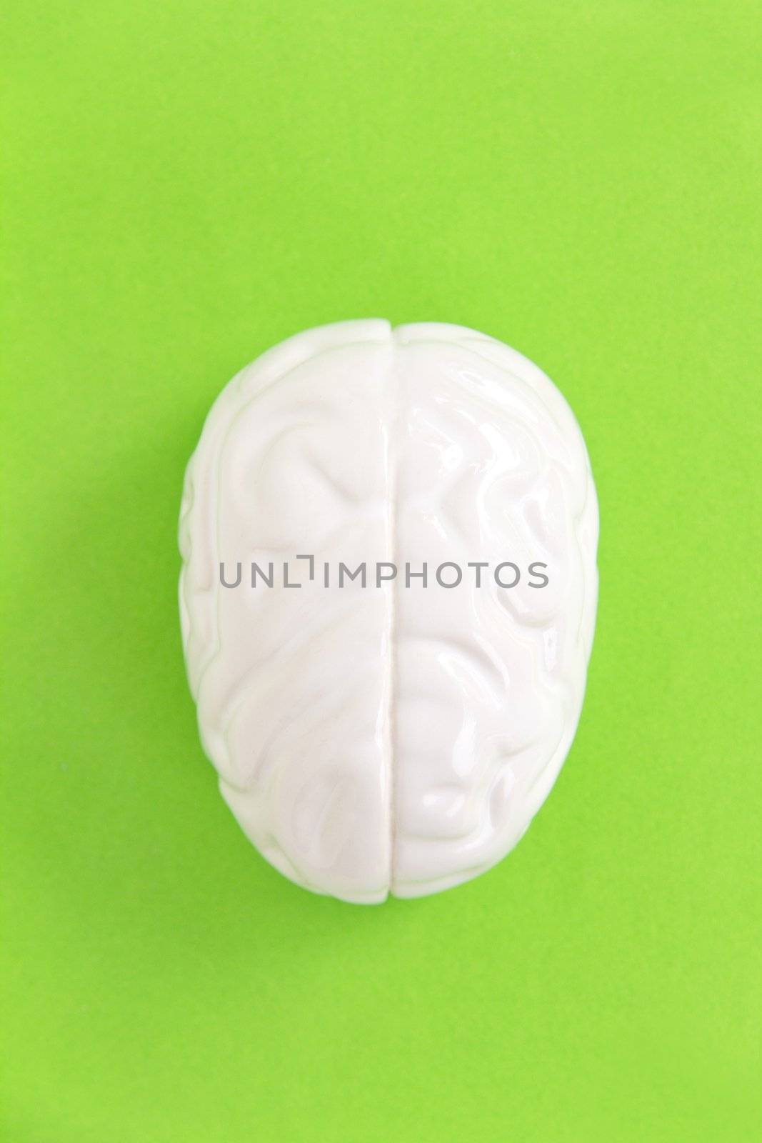 brain concept by ponsulak