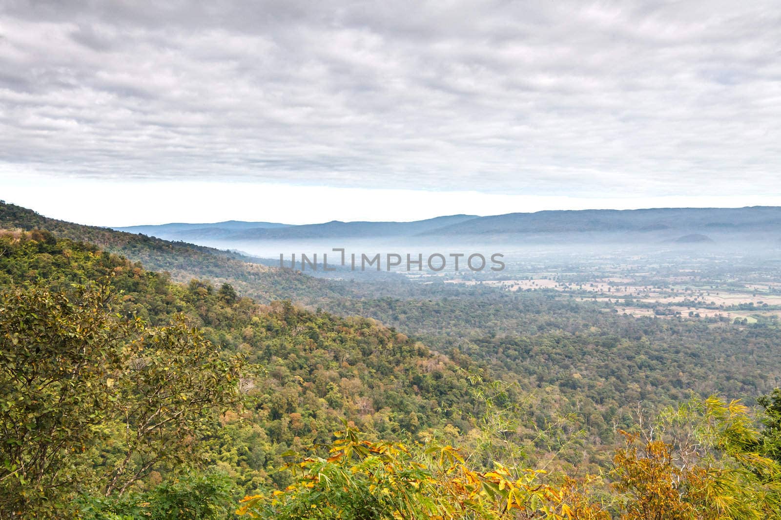 View point from Phukradung National Park, Loei Province, Thailand.