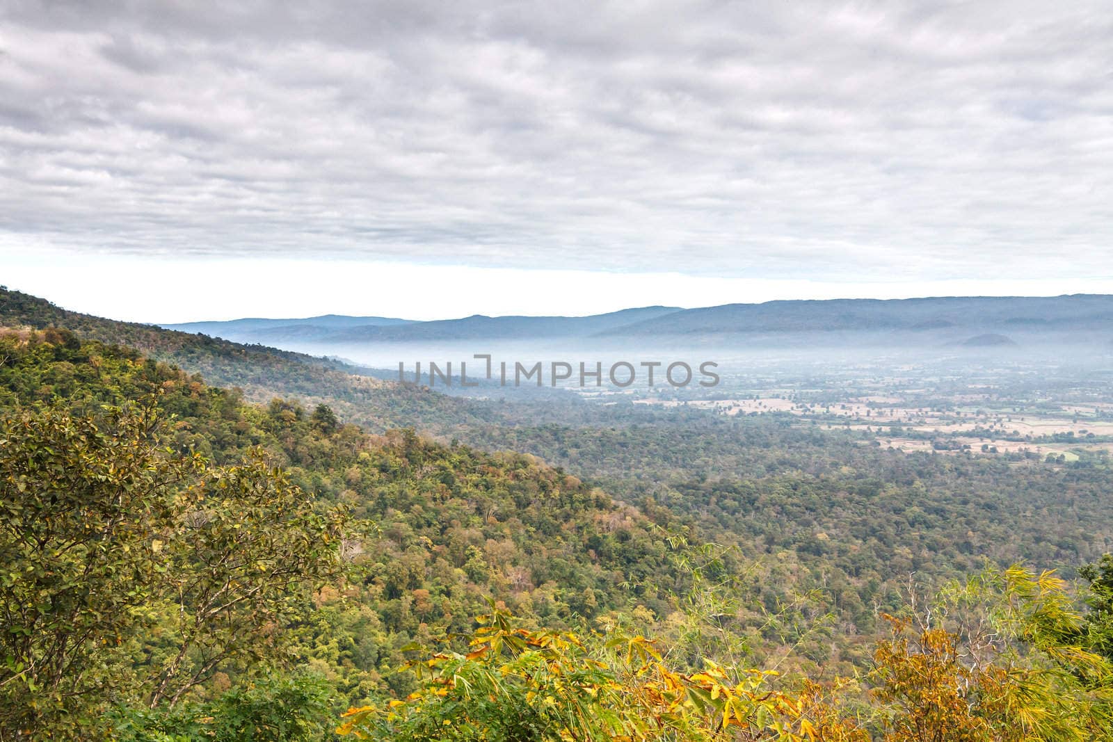 View point from Phukradung by jame_j@homail.com