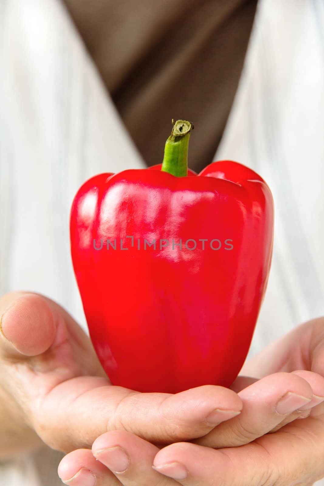 hand holding sweet pepper by ponsulak