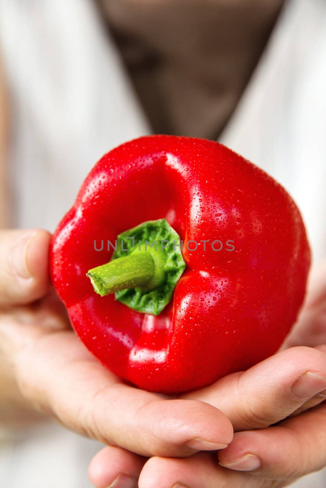 hand holding sweet pepper
