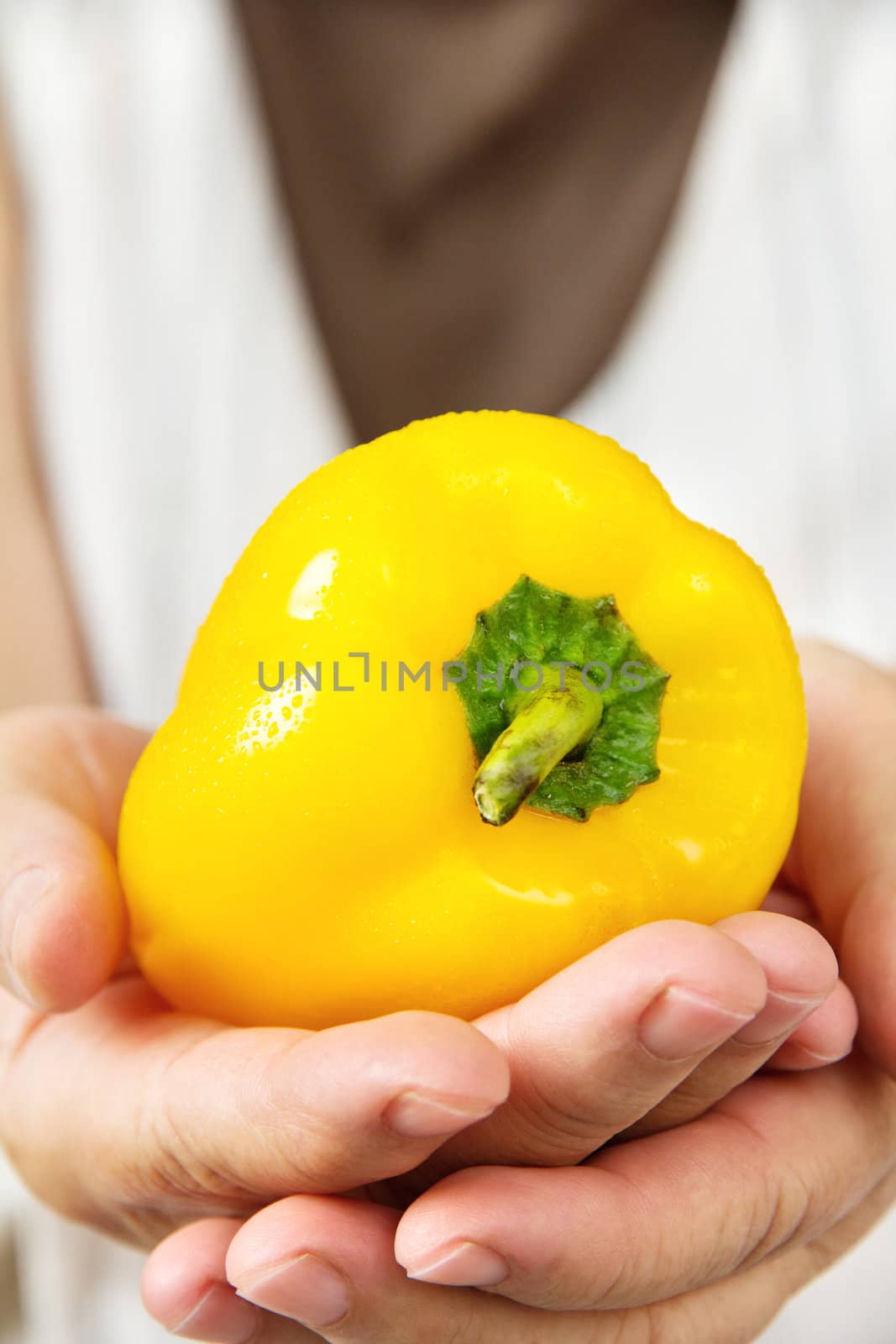 hand holding yellow sweet pepper by ponsulak