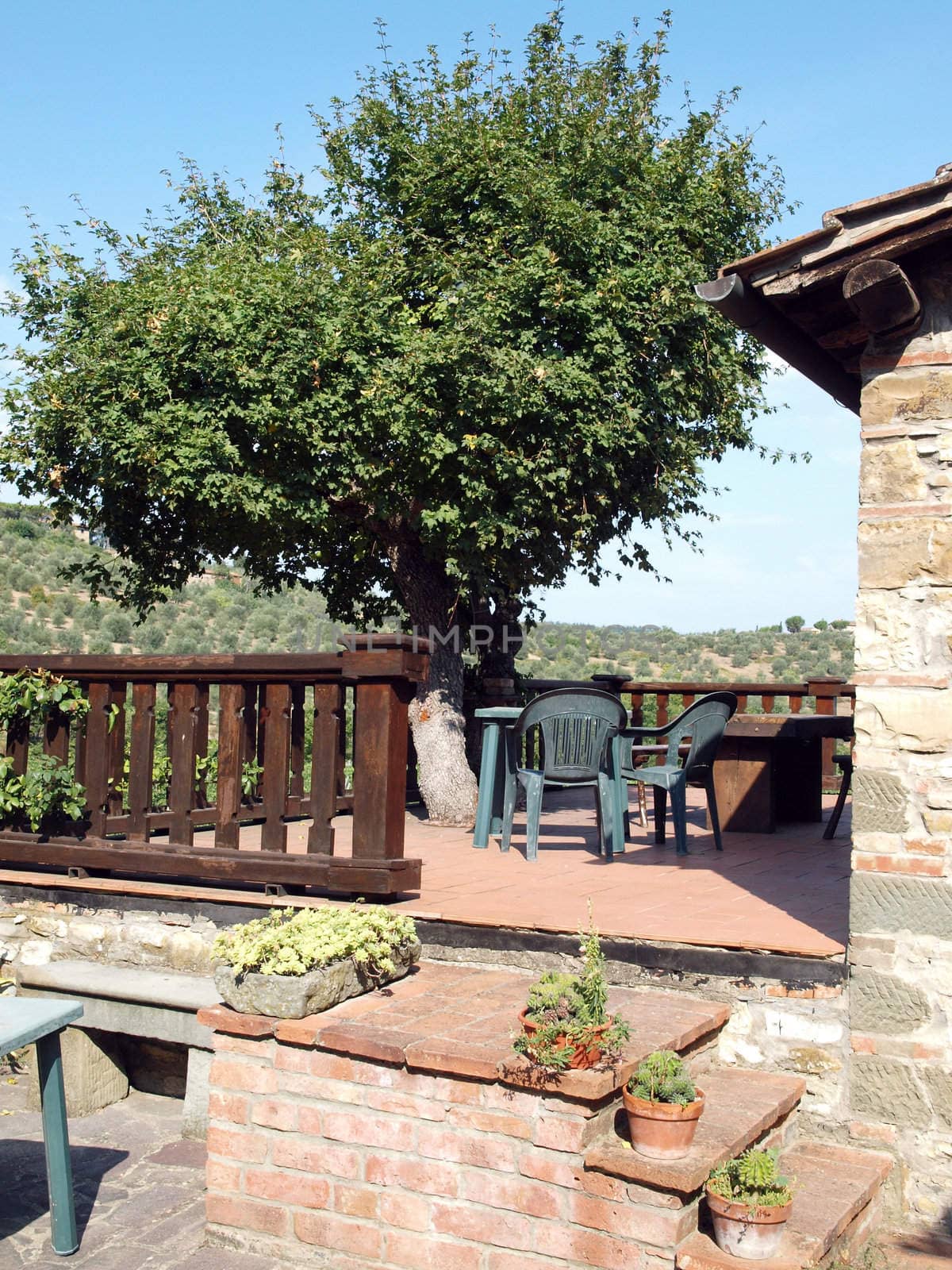 terrace with the view on vineyards in Tuscany