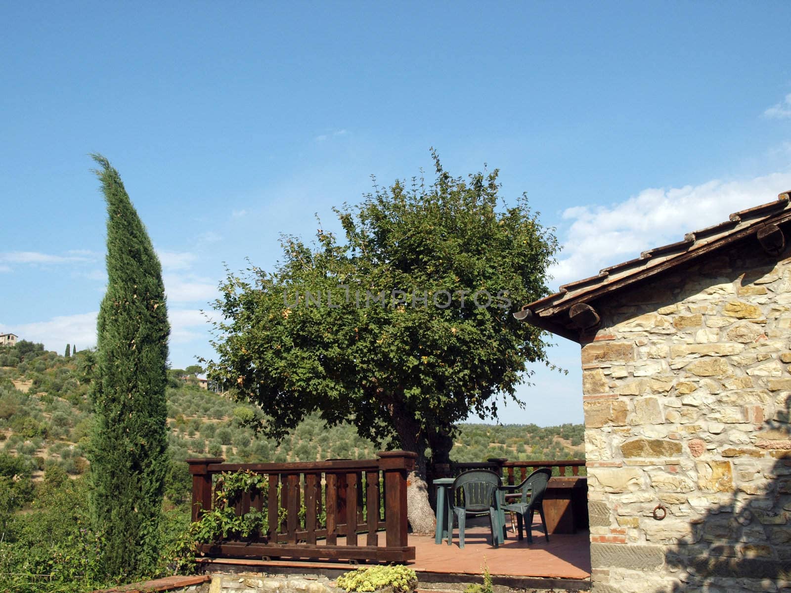 terrace with the view on vineyards in Tuscany