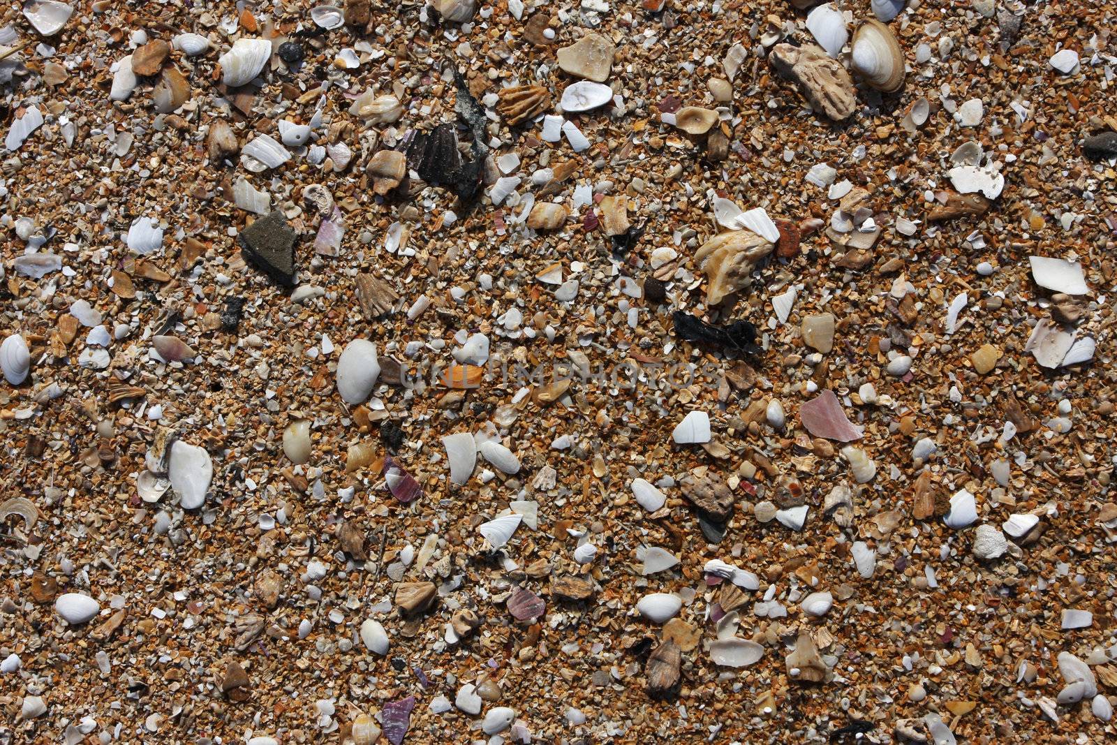 shell sand on the beach with water lines, great detail and texture