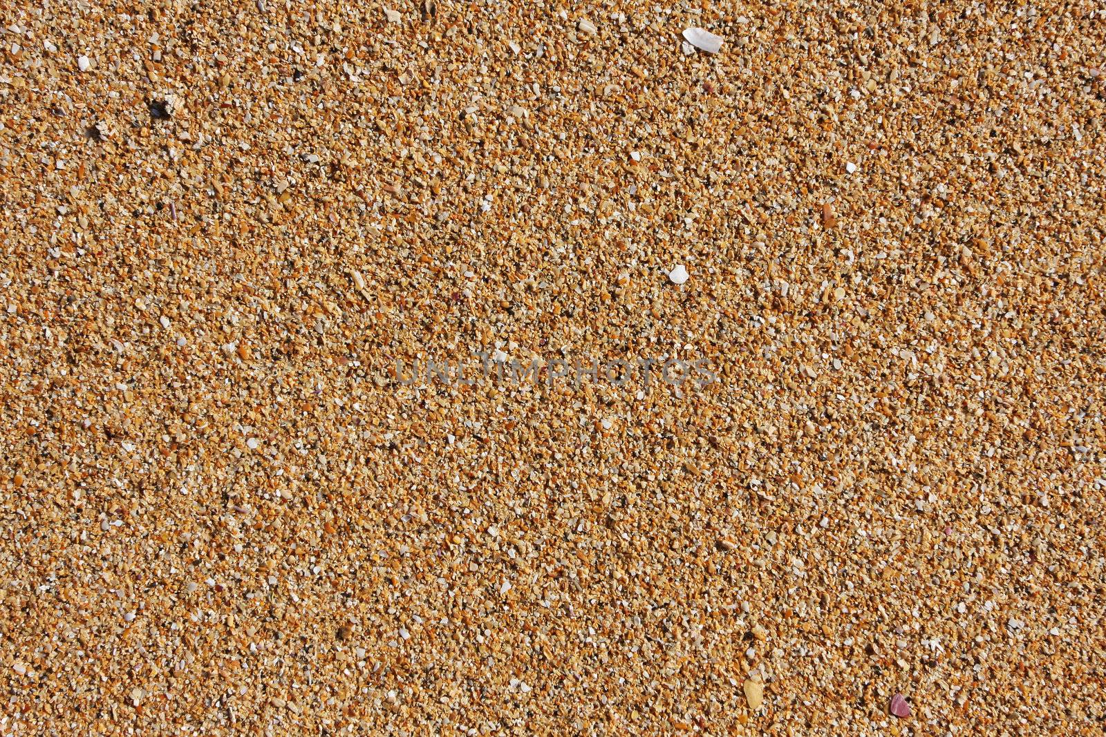 shell sand on the beach with water lines, great detail and texture