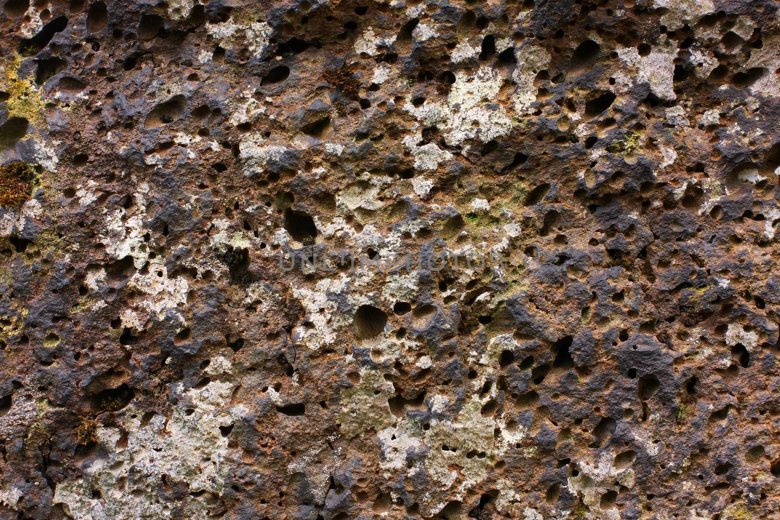 macro shot of mossy rocks, great detail and texture