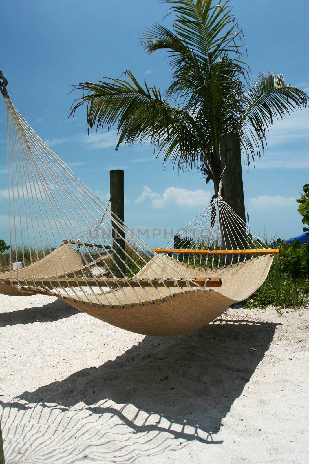 A hammock hanging in a palmtree on a tropical beach