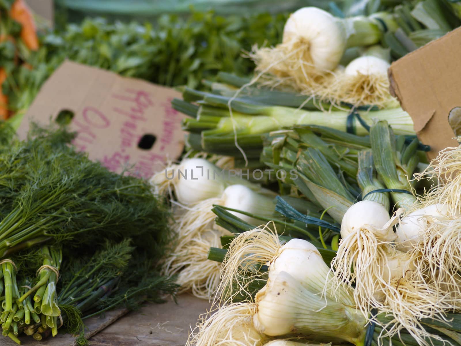 leek and fresh spices on greek market stall