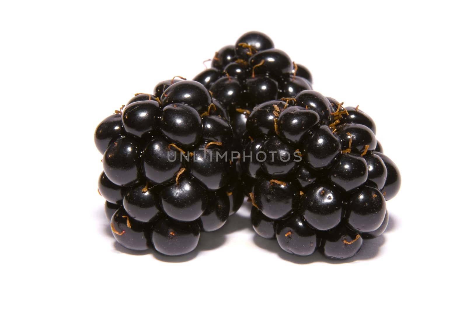 three blackberries by karinclaus