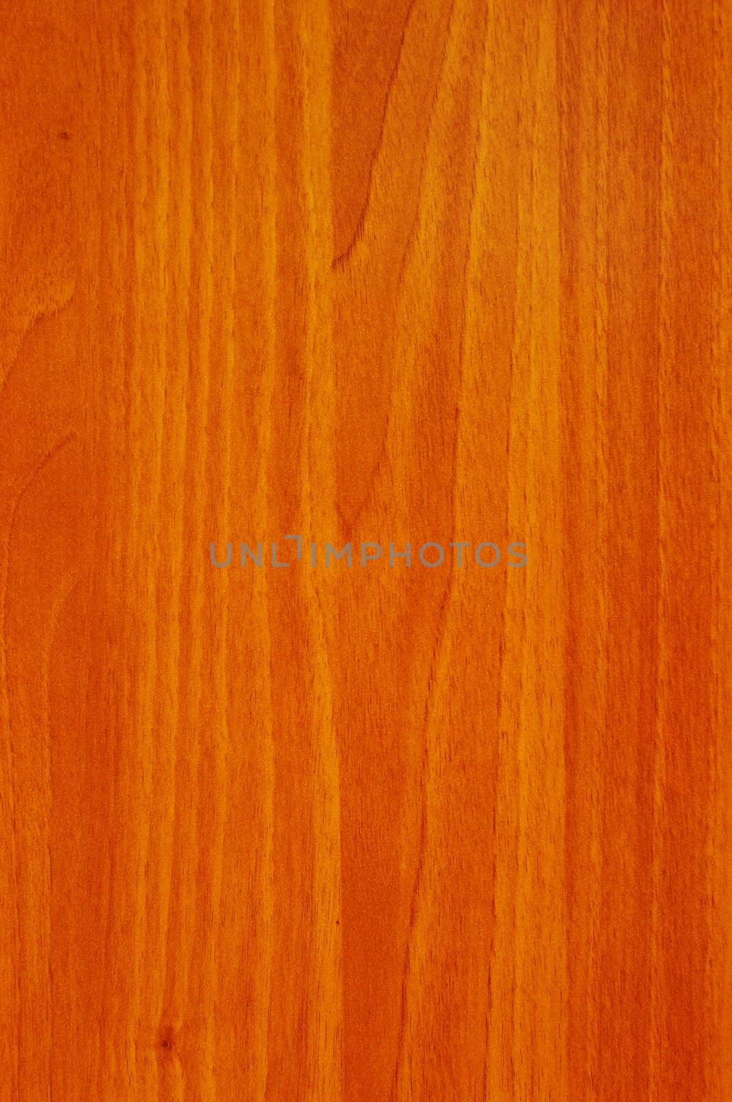 Wood texture close-up background